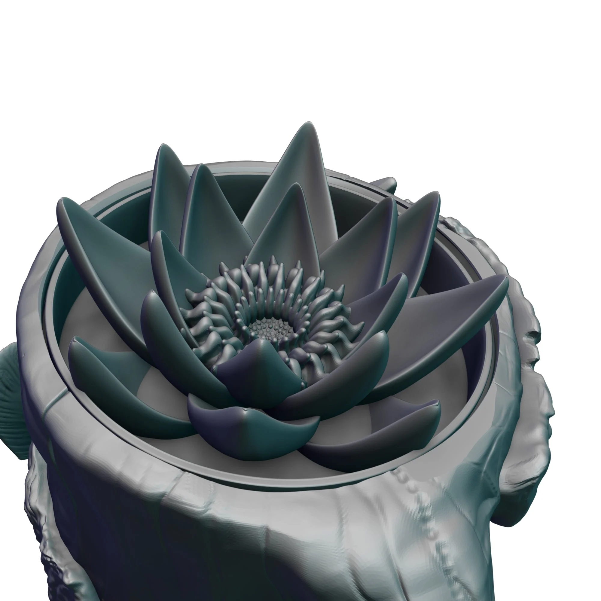 Thumbnail 11