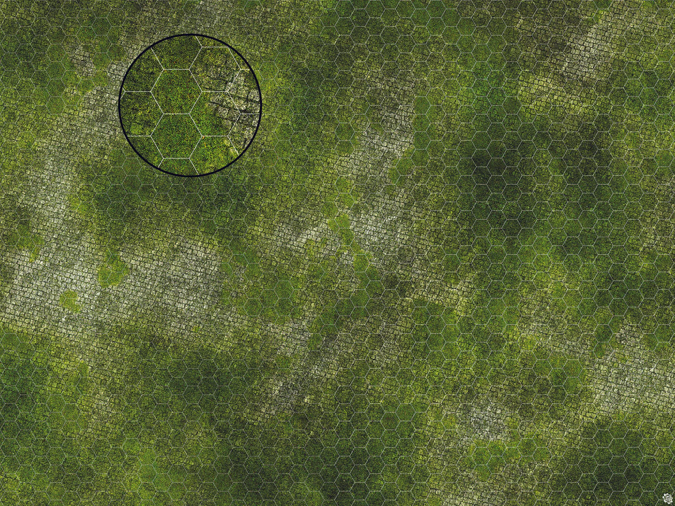 Thumbnail 14